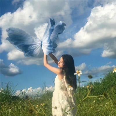 鹈鹕的故事