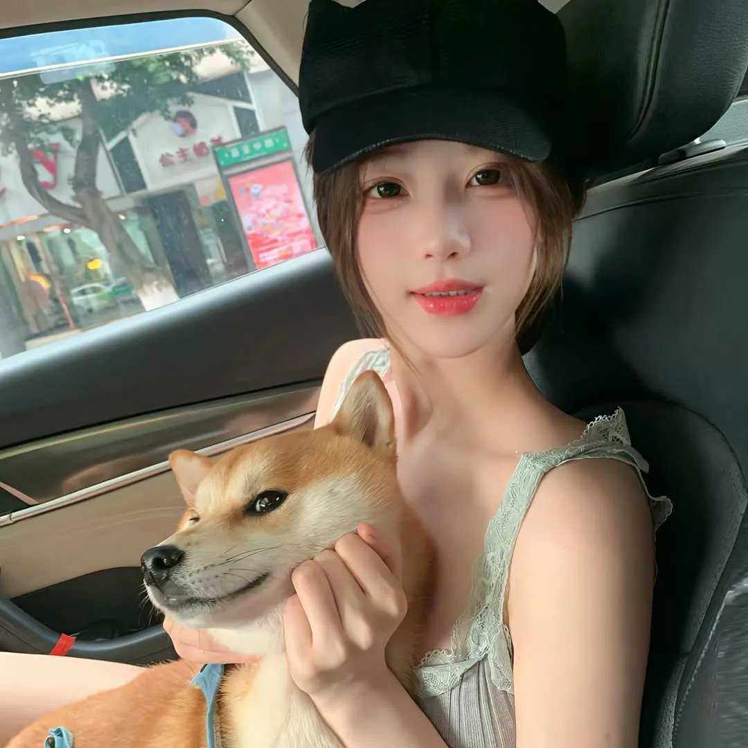 黄叶舞青风